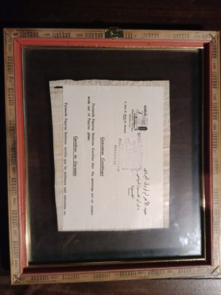 Papiro egiziano con cornice legno