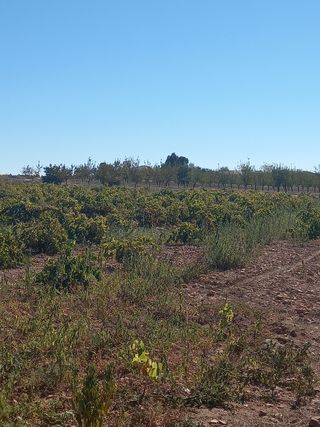 Terreno en venta