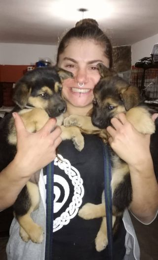 Adiestramiento, guardería canina, paseos...