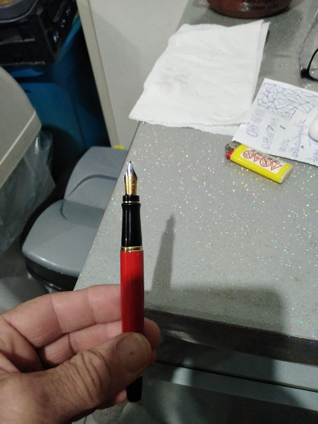 Penna Stilografica  Waterman Paris