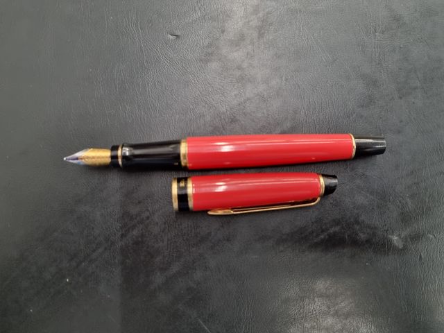 Penna Stilografica  Waterman Paris