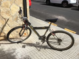 Bicicleta de paseo