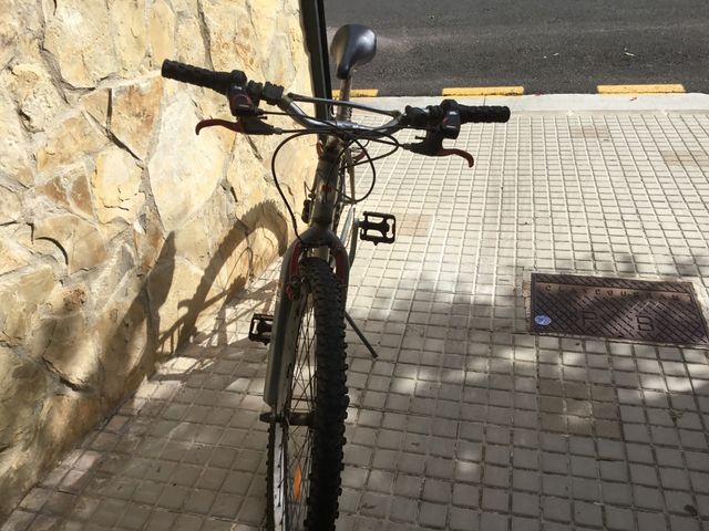 Bicicleta de paseo
