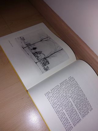 LLIBRE - Les comarques del Principat - CATALUNYA