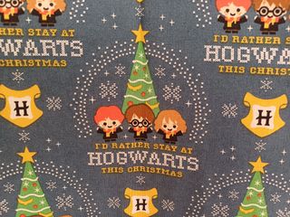 Funda para libros Harry Potter.