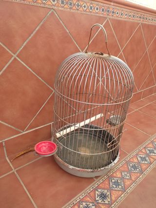 Jaula para loros