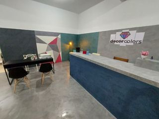 Profesional de la Pintura