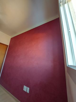 Profesional de la Pintura