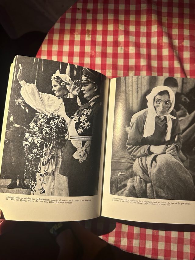 Libro Historia social del tercer Reich