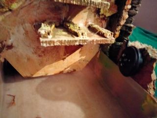 Fuente eléctrica con luz para belén