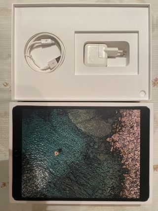 Ipad pro 10.5 Wifi + celular 512 GB
