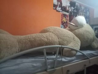 peluche gigante