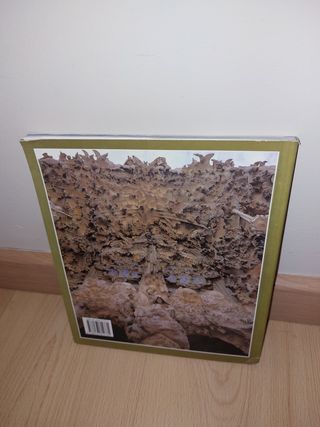 LLIBRE - Temple Sagrada Família - Barcelona