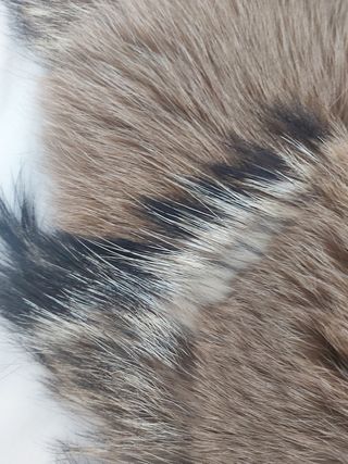 Collo di vera pelliccia murmasky 120 cm