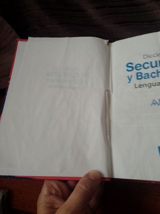 Diccionario secundaria y bachillerato