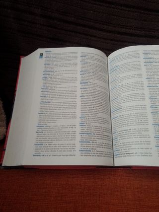 Diccionario secundaria y bachillerato