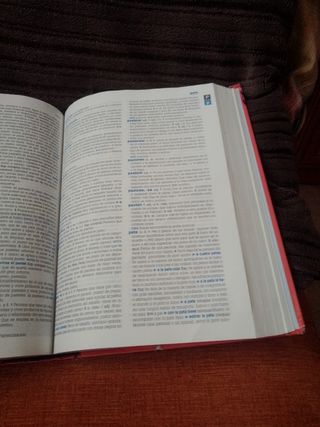 Diccionario secundaria y bachillerato