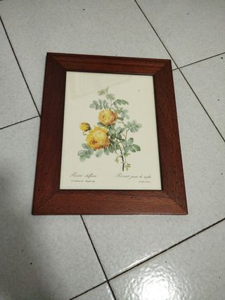 Quadro in legno cm 25 x31