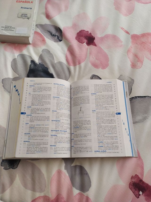 diccionario primaria español inglés