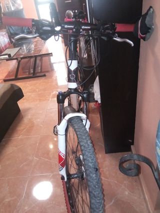 Bicicleta carbono
