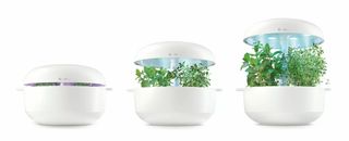 Huerto doméstico SmartGrow 6