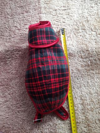 Abrigo perrito chihuahua