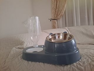 Bowl and water dispenser for cats (new)