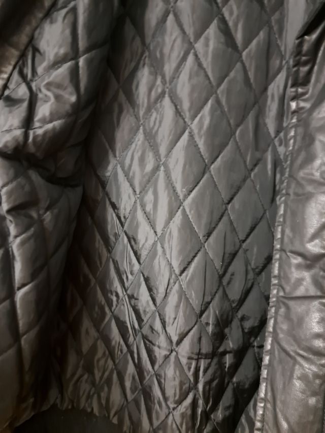 Cazadora casual Custo