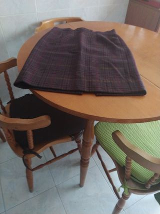 Falda de invierno