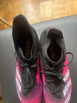 botas adidas predator de futbol sala