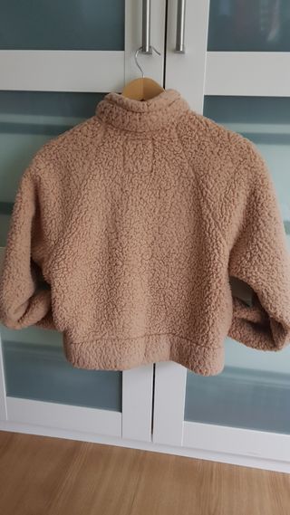 Cazadora Hollister