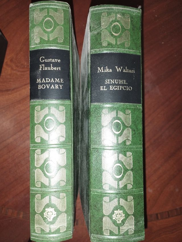 Set di due vecchi libri