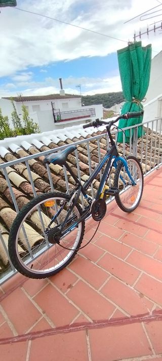 Bicicleta montaña 24"