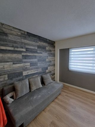 Manitas pintor eletrecista mas...