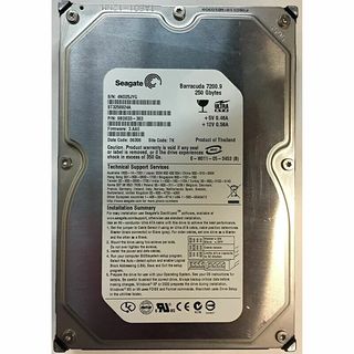 Disco duro 250GB - Seagate Barracuda ST3250824A