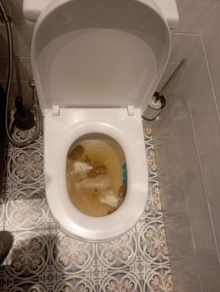 Destacó