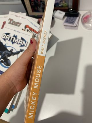 Comic Disney Mickey House