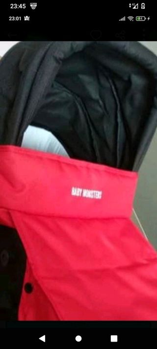 Se vende carro gemelar