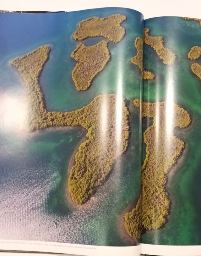 América: La mirada del cóndor