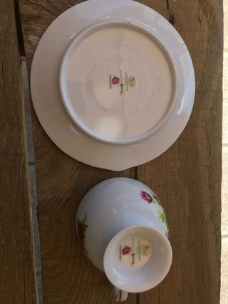 Noviembre Taza y plato porcelana alemana