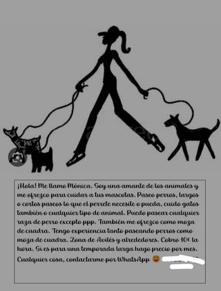 Cuidados de ani ma les