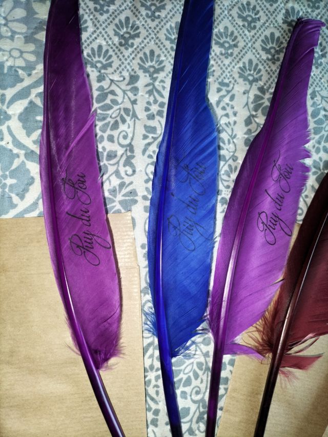 PLUMA-BOLI PUY DU FOU