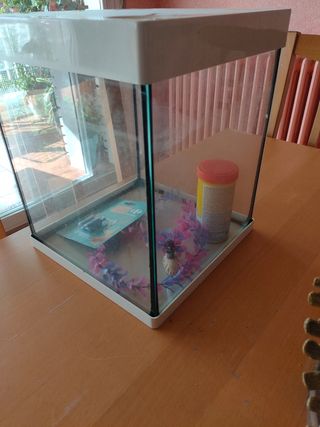 Acuario de unos 32 x 26 cm