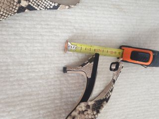 Zapatos animal print destalonados 39