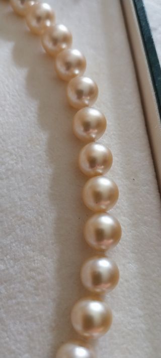 Collar de Perlas