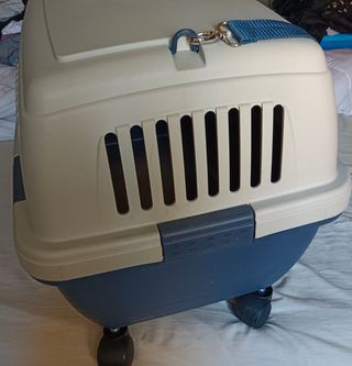 Transportín perro