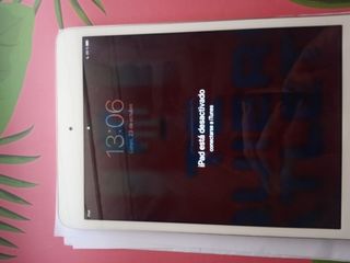 Ipad Mini 2