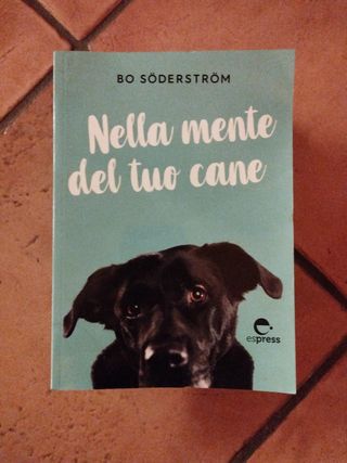 Il cane