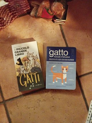 Il gatto