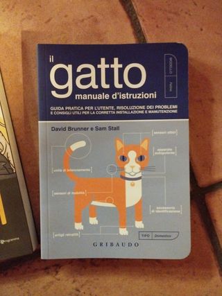 Il gatto